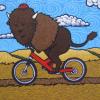 cyclingbison